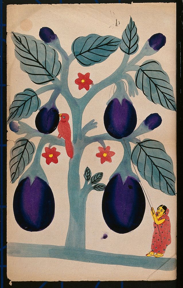 A woman pulling giant aubergines from a tree. Watercolour.
