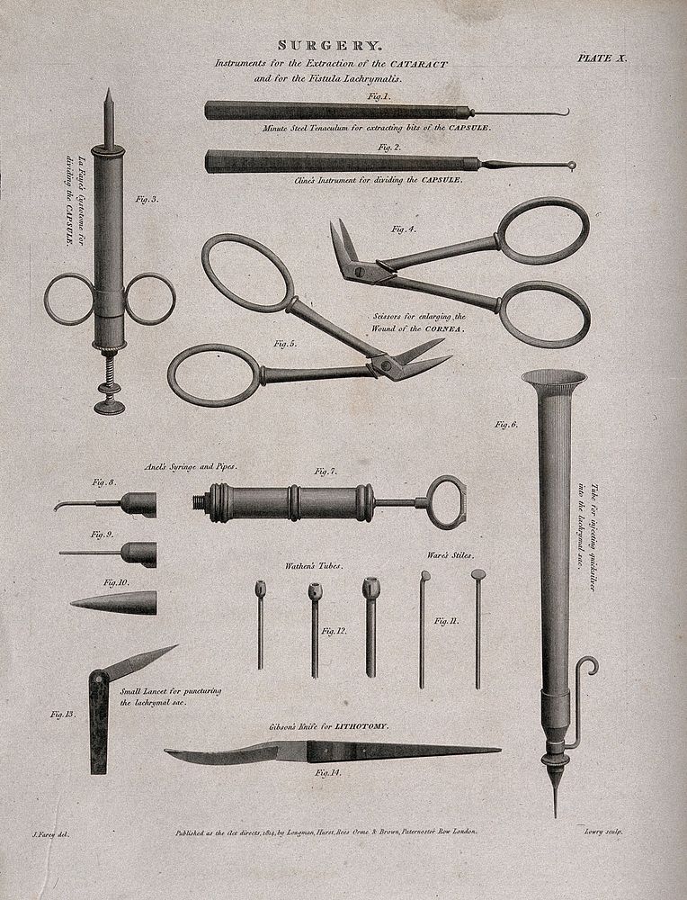 Surgical instruments for the extraction of cataracts. Engraving by W. Lowry after J. Farey jun., 1814.
