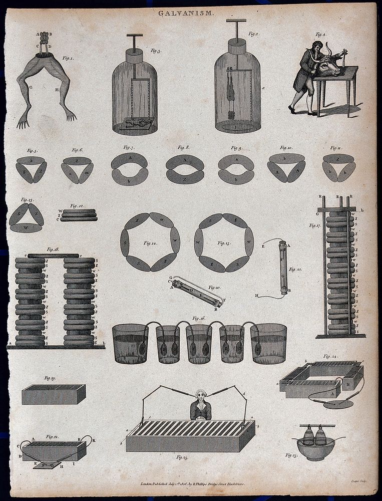 Electricity: electrical equipment, batteries, etc., and frogs' legs. Engraving, 18--, by Cooper.