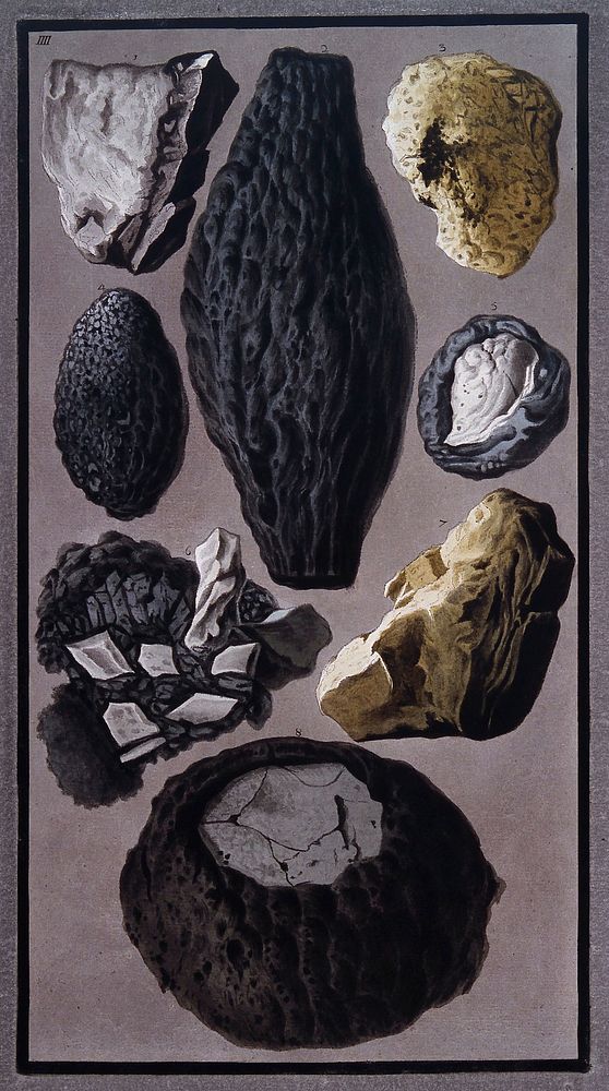 Pieces of lava and vitrified, flinty matter found after the eruption of Mount Vesuvius on 8 August 1779. Coloured etching by…