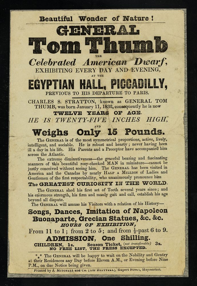 Beautiful wonder of nature! : General Tom Thumb the celebrated American dwarf : exhibiting every day and evening, Egyptian…