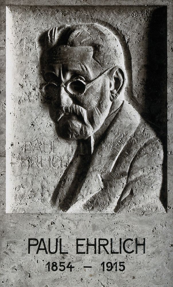 Paul Ehrlich. Photograph after a plaque in the Deutsches-Hygiene Museum, Dresden.