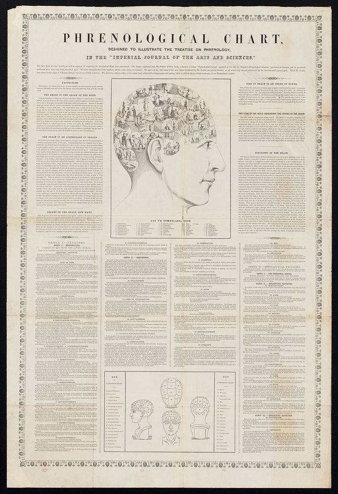Phrenological chart : designed to illustrate the treatise on phrenology, in the "Imperial journal of the arts and sciences".