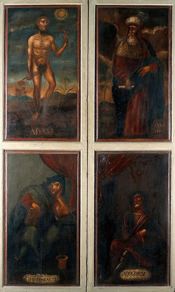 Those who named the plants: Adam, Solomon, Theophrastus, and Dioscorides. Oil paintings.