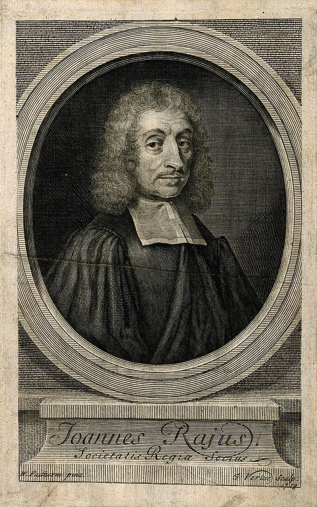 John Ray. Line engraving by G. Vertue, 1713, after W. Faithorne.