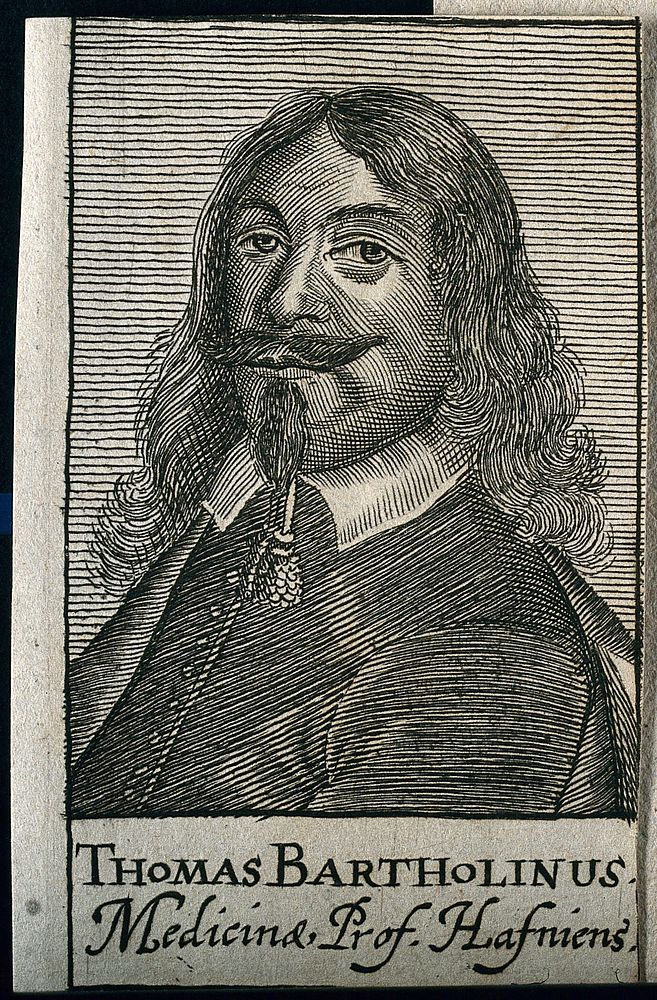 Thomas Bartholin. Line engraving after C. van Mander III.