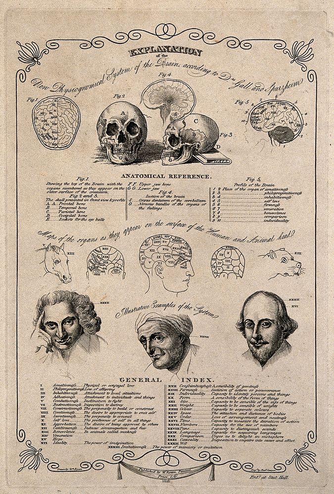 Phrenological diagrams of the skull and brain, with three portraits: Laurence Sterne, a mathematician, and Shakespeare;…