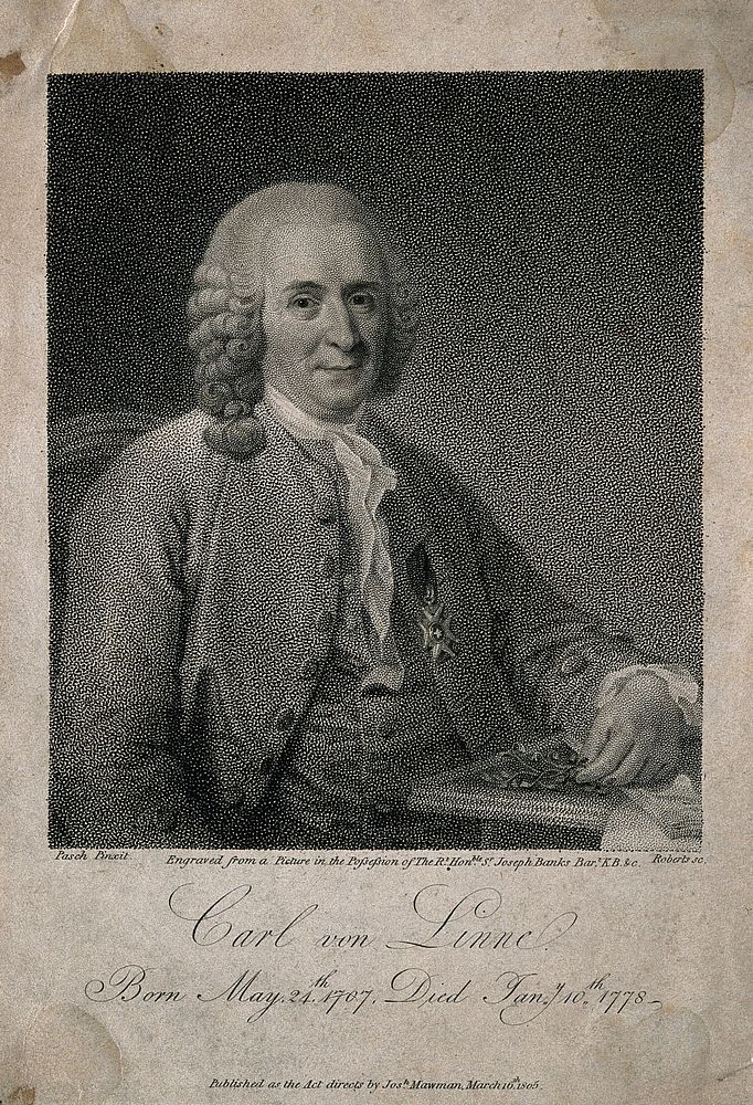 Carolus Linnaeus. Stipple engraving by P. Roberts after L. Pasch after A. Roslin, 1775.