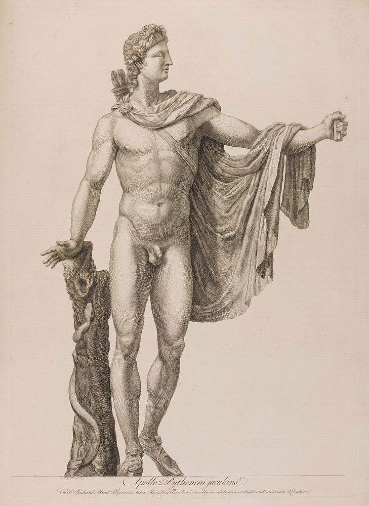 The Apollo Belvedere. Etching by R. Dalton, 174-.