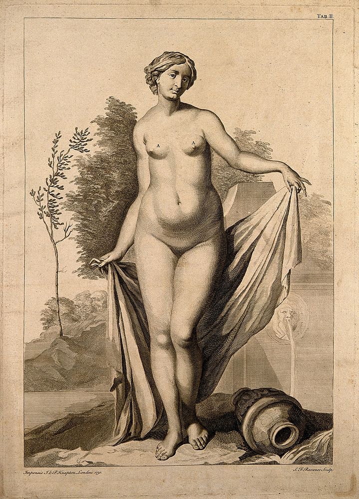 Superficial anatomy of the woman: anterior view. Engraving by S.F. Ravenet after G. Bidloo, 1750.