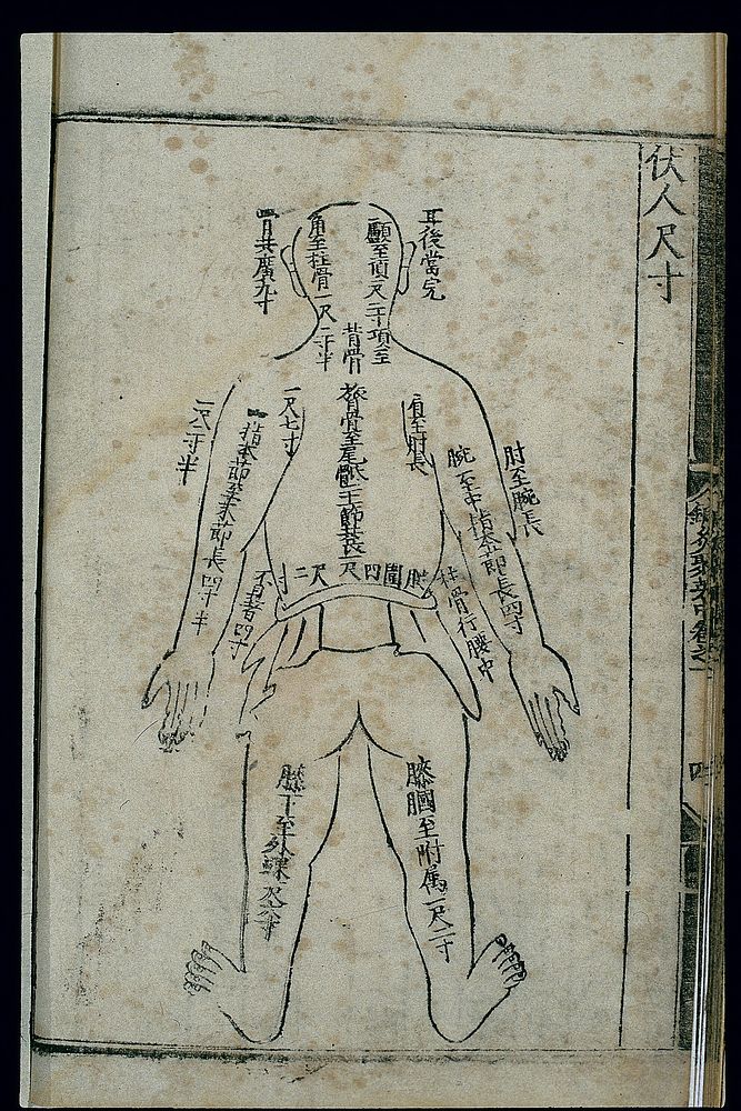 Anatomical measurements, prone figure, Chinese woodcut