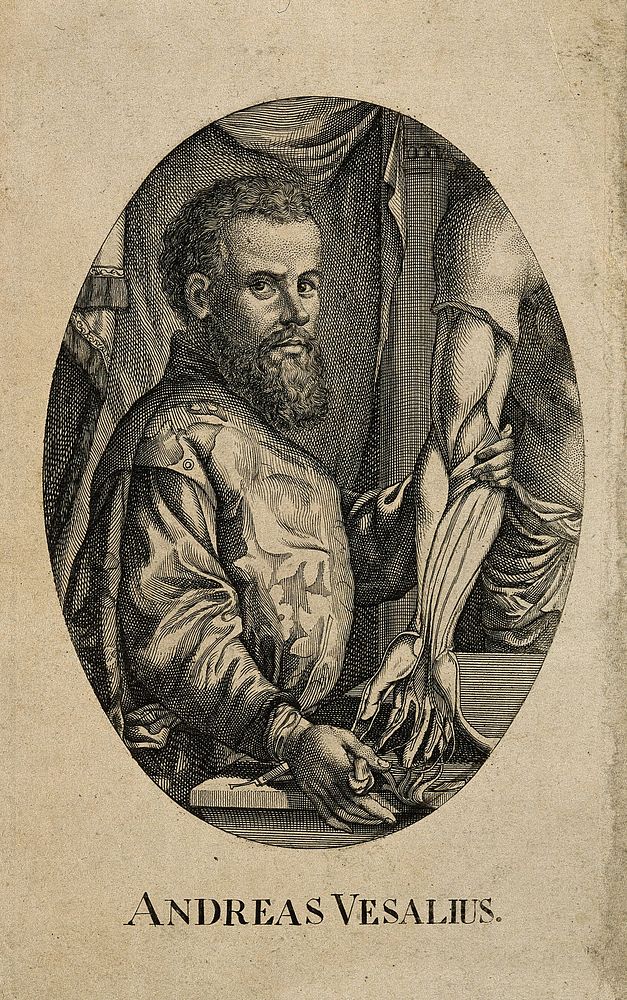 Andreas Vesalius. Line engraving after J. Wandelaar.