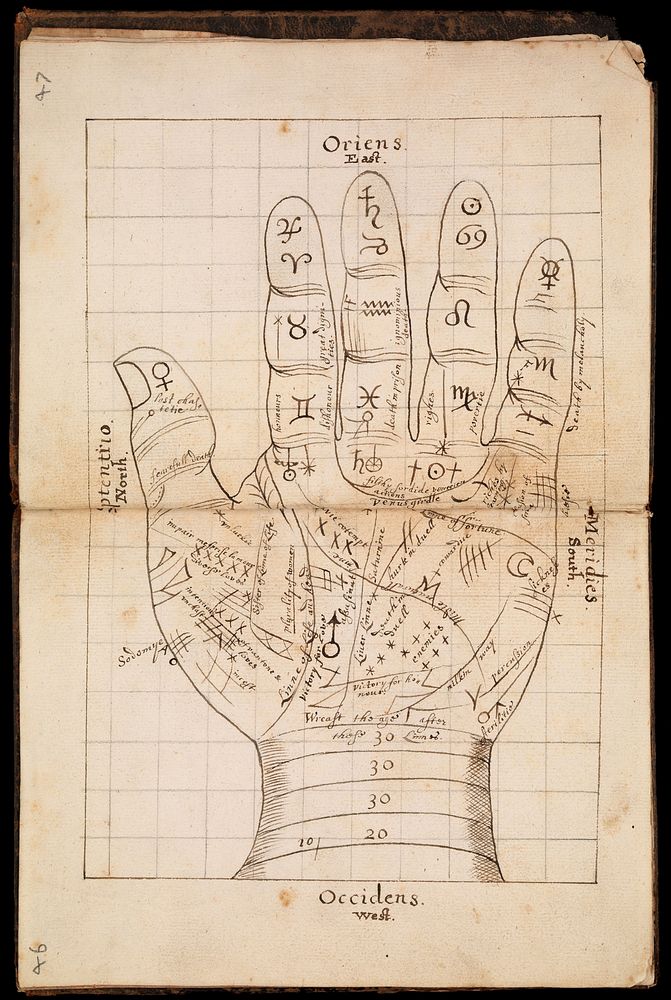 Hand covered in various symbols
