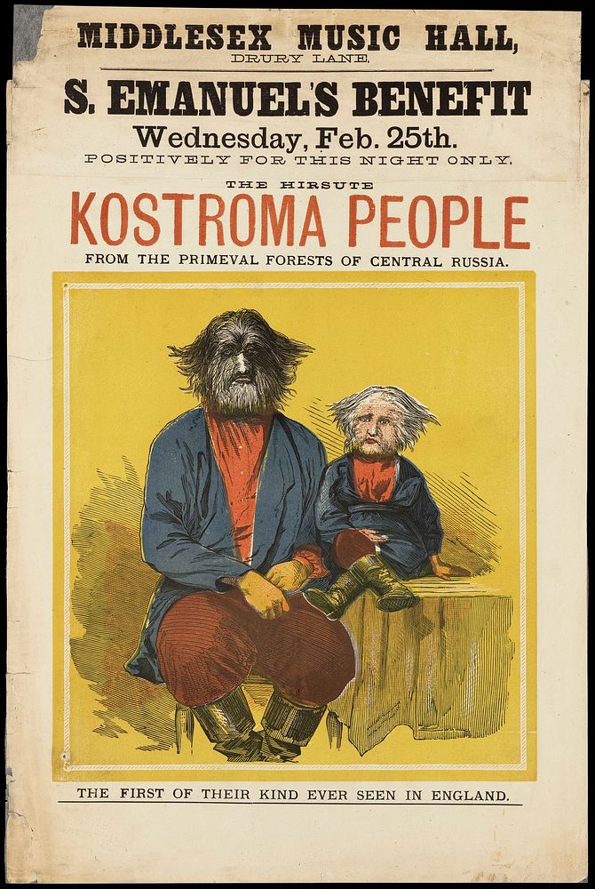 Poster: The hirsute Kostroma people...