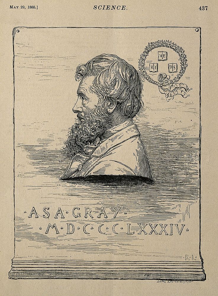 Asa Gray. Wood engraving by R. Lewis (Lewis Engraving Co.), 1885.
