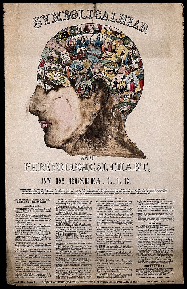A head marked with images representing the phrenological faculties, with a key below. Coloured wood engraving, ca. 1845…