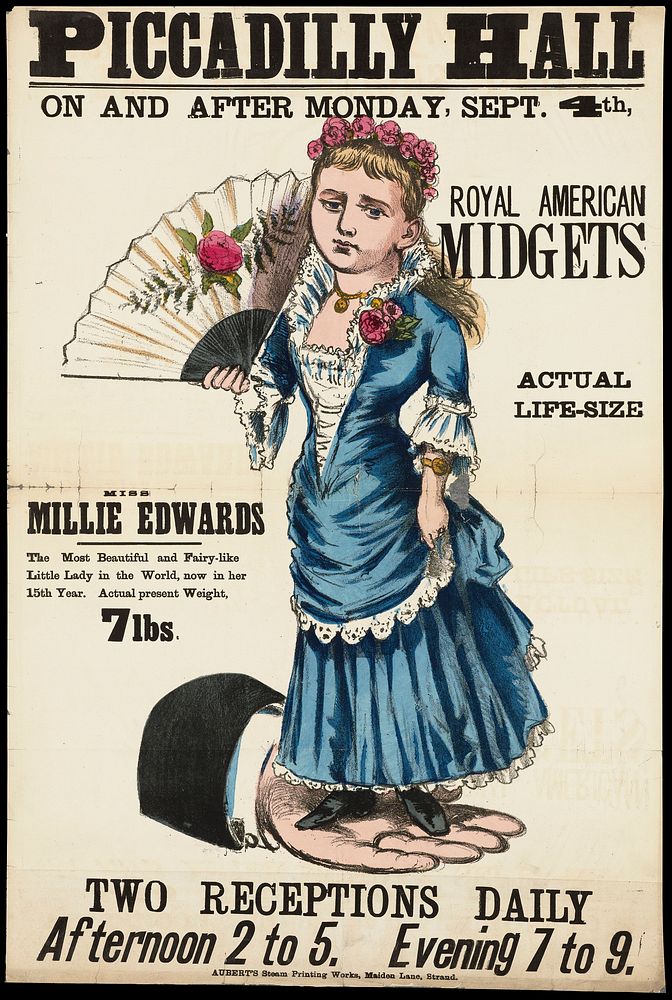 Piccadilly Hall on and after Monday, Sept. 4th : Royal American Midgets : Miss Millie Edwards... two receptions daily... /…