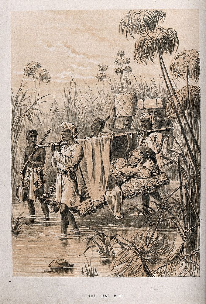 David Livingstone, suffering from fever, carried through the jungle by his men. Lithograph.