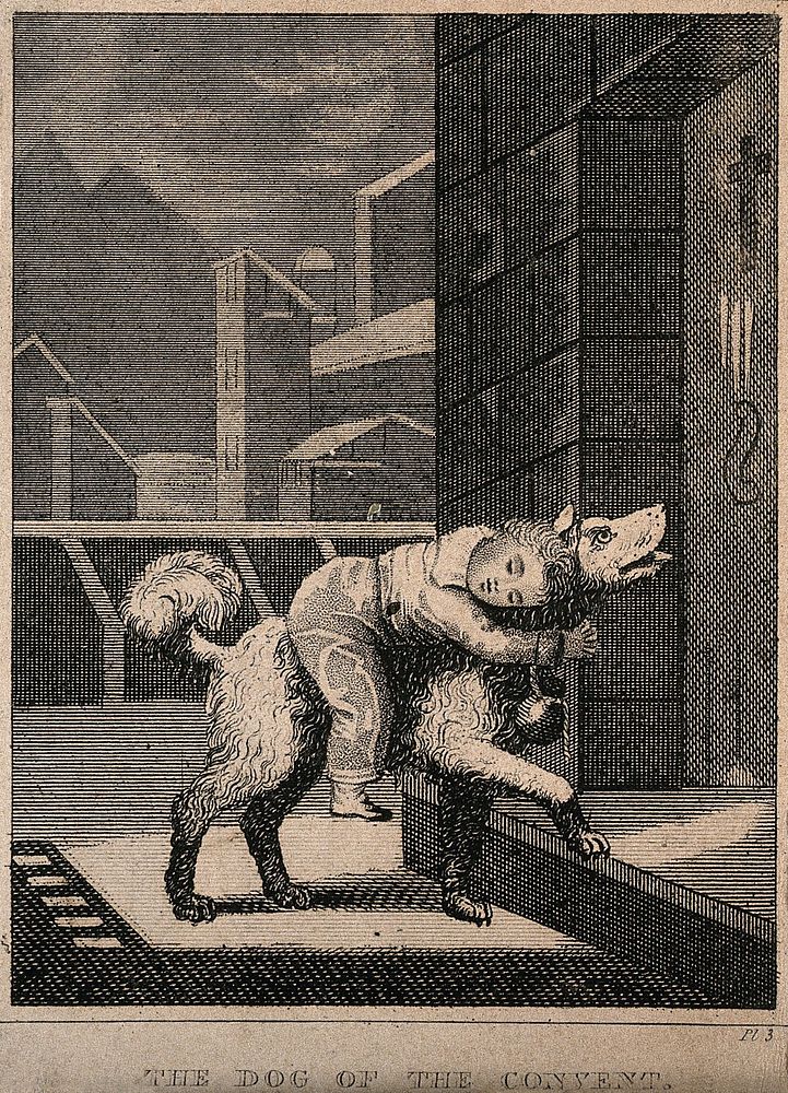 A rescue dog brings back a little boy on his back to a hospice. Line engraving.