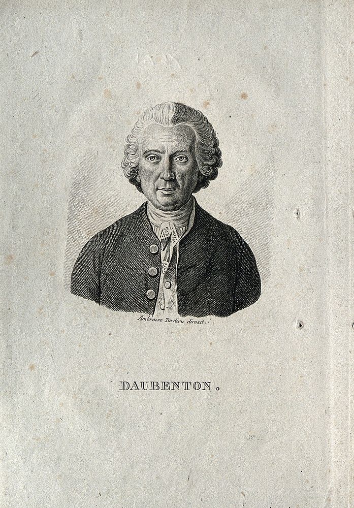 Louis-Jean-Marie Daubenton. Stipple engraving.