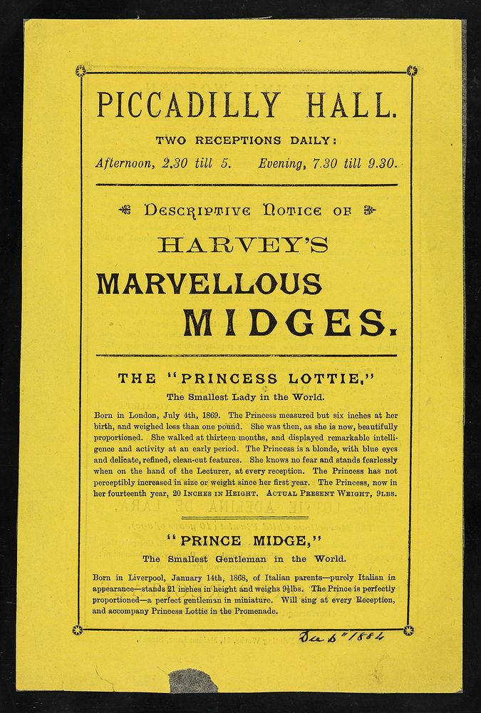 [Undated yellow handbill (London, December 1884) advertising an appearance by Harvey's Midges: Princess Lottie, Prince…