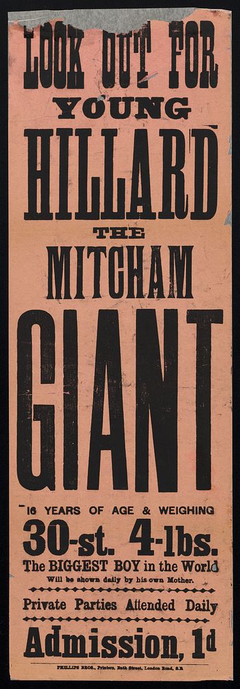 Look out for young Hillard the Mitcham Giant : 16 years of age & weighing 30-st. 4-lbs. ; the biggest boy in the world will…