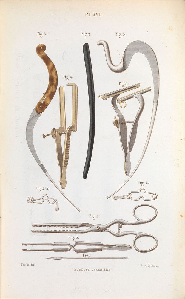Plate XVII, Surgical instruments used to treat phimosis (tightening of the foreskin), anal fistulas, and haemorrhoids.