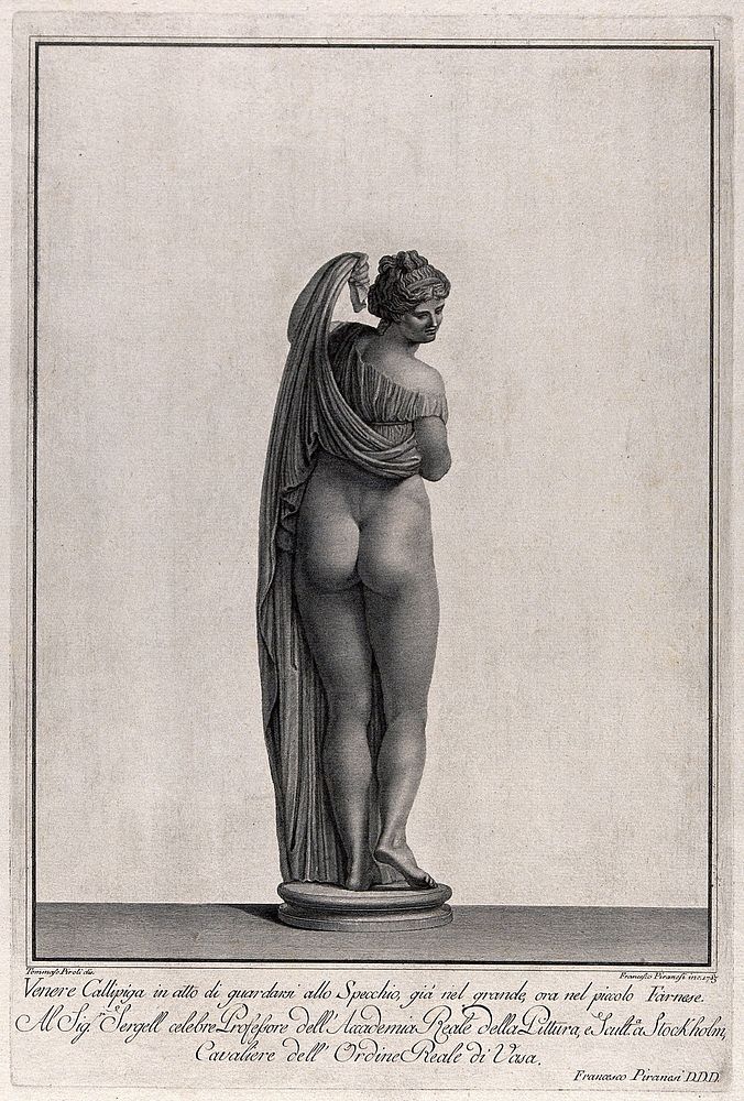 Venus [Aphrodite]: the Callipygian Venus. Engraving by F. Piranesi, 1783, after T. Piroli.