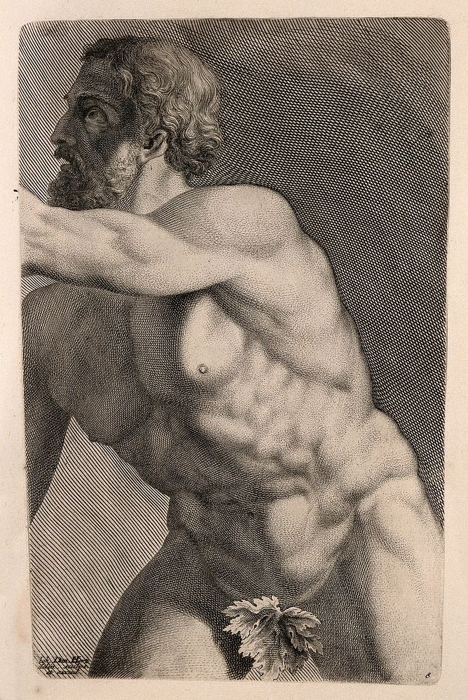 A middle aged man, nude: frontal view. Engraving by J.D. Herz after himself, c. 1732.