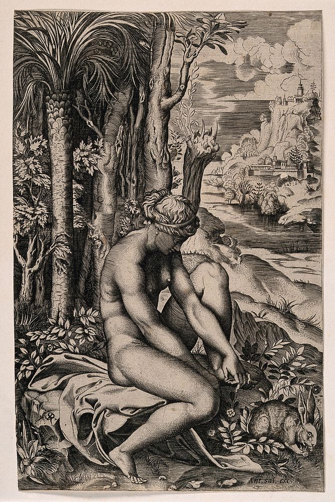 Venus pulling a thorn from her foot in an elaborate rural setting, a rabbit accompanies her. Engraving by M. Dente, 1516…