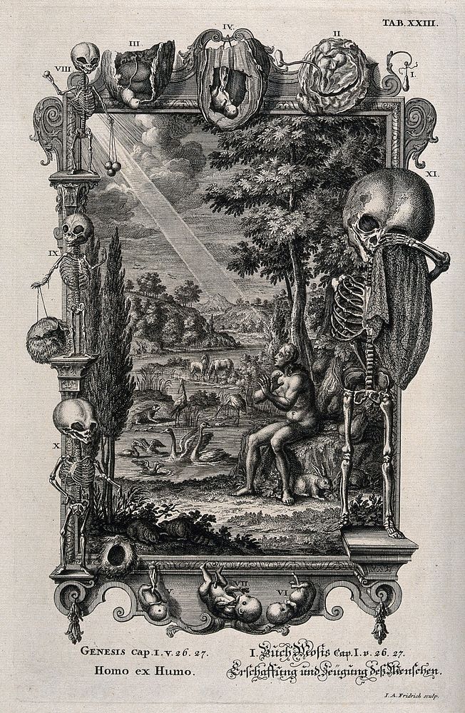An anatomical depiction of the life and death of a foetus frames Adam alone in the Garden of Eden. Etching by J.A. Fridrich…