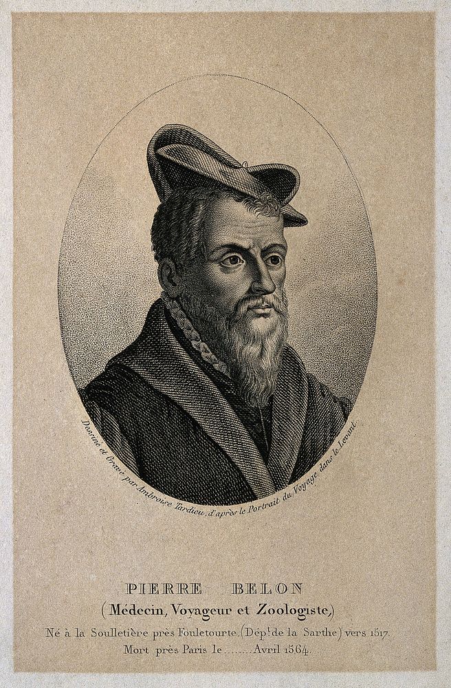 Pierre Belon. Stipple engraving by A. Tardieu.