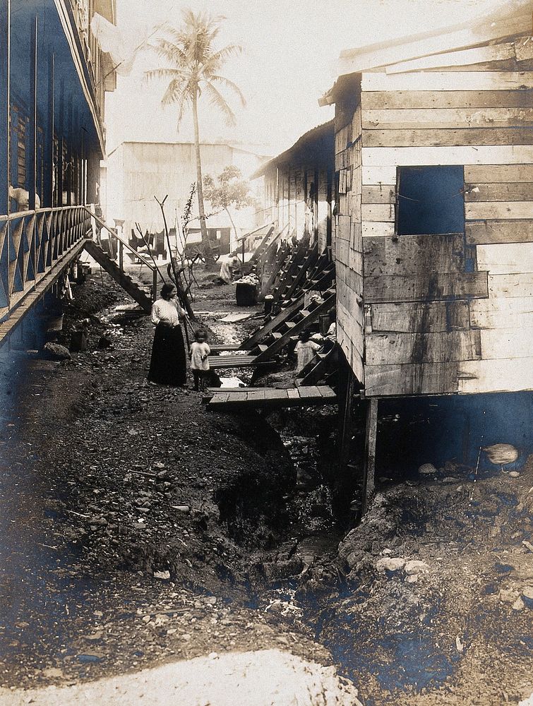 An open sewer beneath elevated wooden huts with residents outside, Panama. Photograph, 1908.