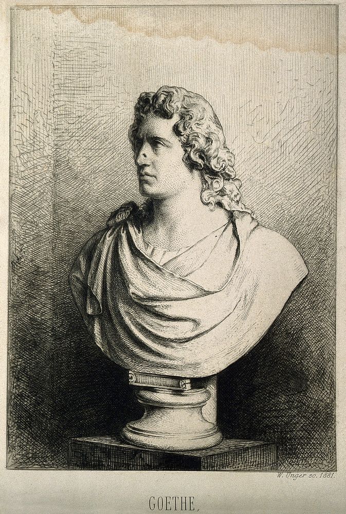 Johann Wolfgang von Goethe. Etching by W. Unger, 1881, after A. Trippel, 1787/88.