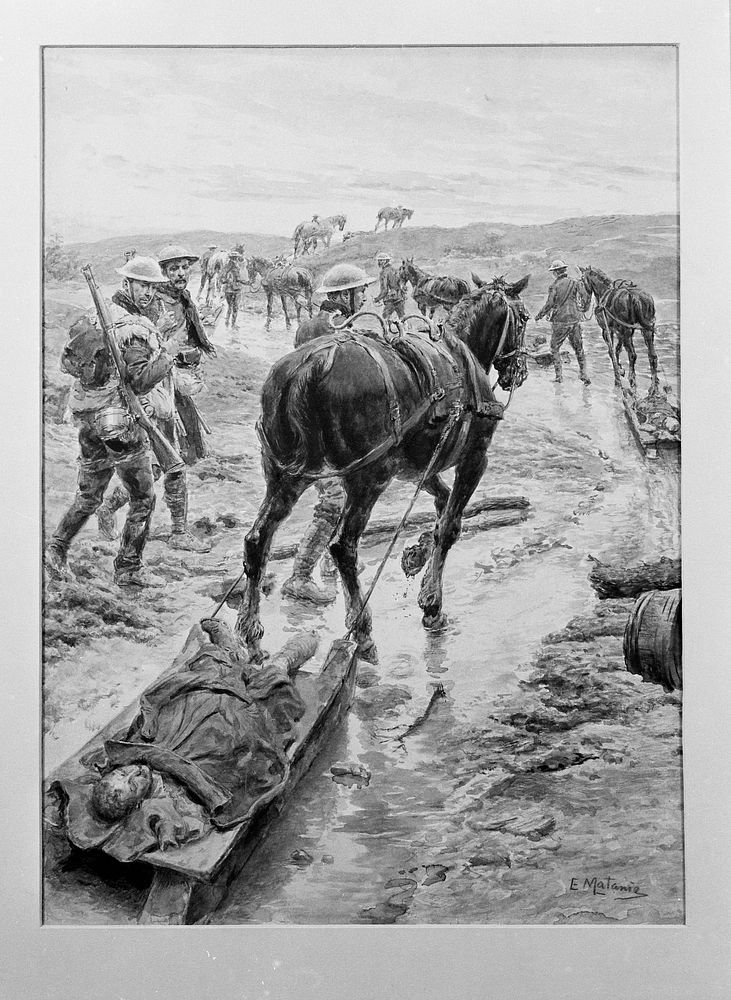 World War One: a horse is transporting a wounded man on a sledge. Watercolour by E. Matania, ca. 1918.