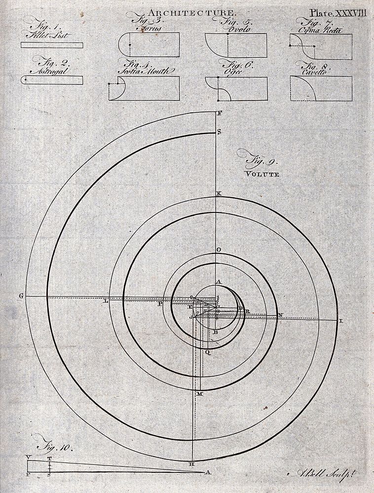 Architecture: an ionic volute and various types of moulding. Engraving by A. Bell.