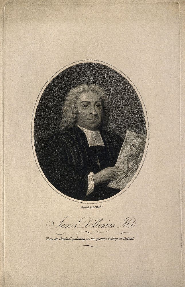 John James Dillenius. Stipple engraving by J. Heath.