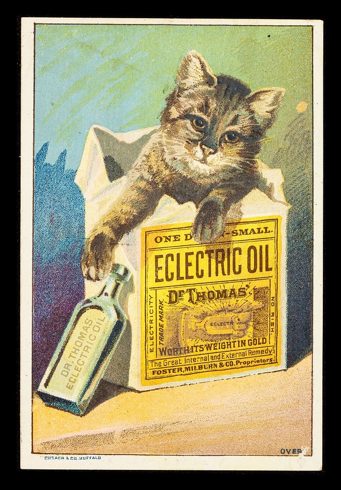 Dr. Thomas Eclectric Oil : for internal & external use. For sale by all druggists.