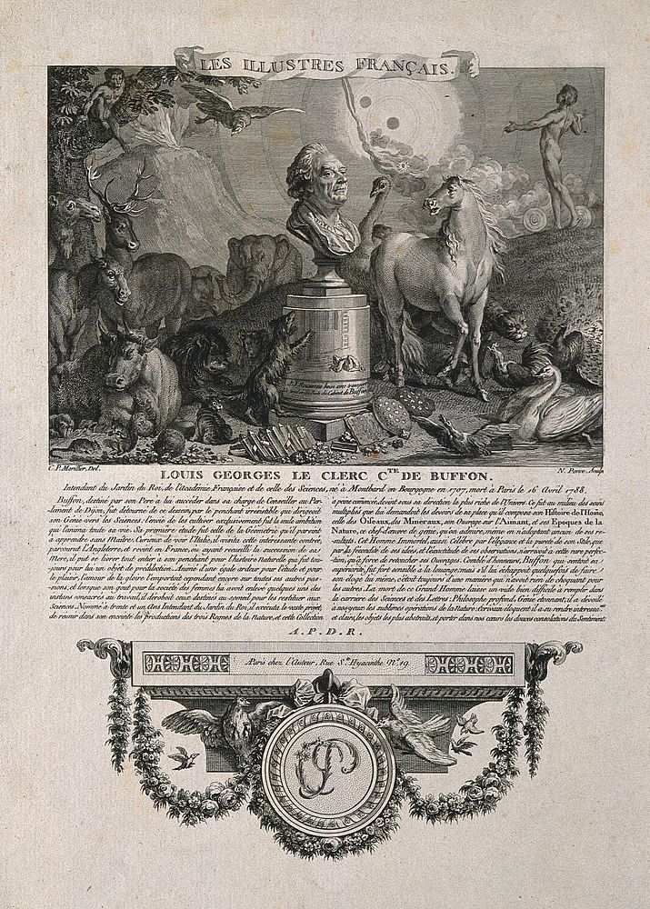 Georges Louis Leclerc, Comte de Buffon. Line engraving by N. Ponce after C. P. Marillier.
