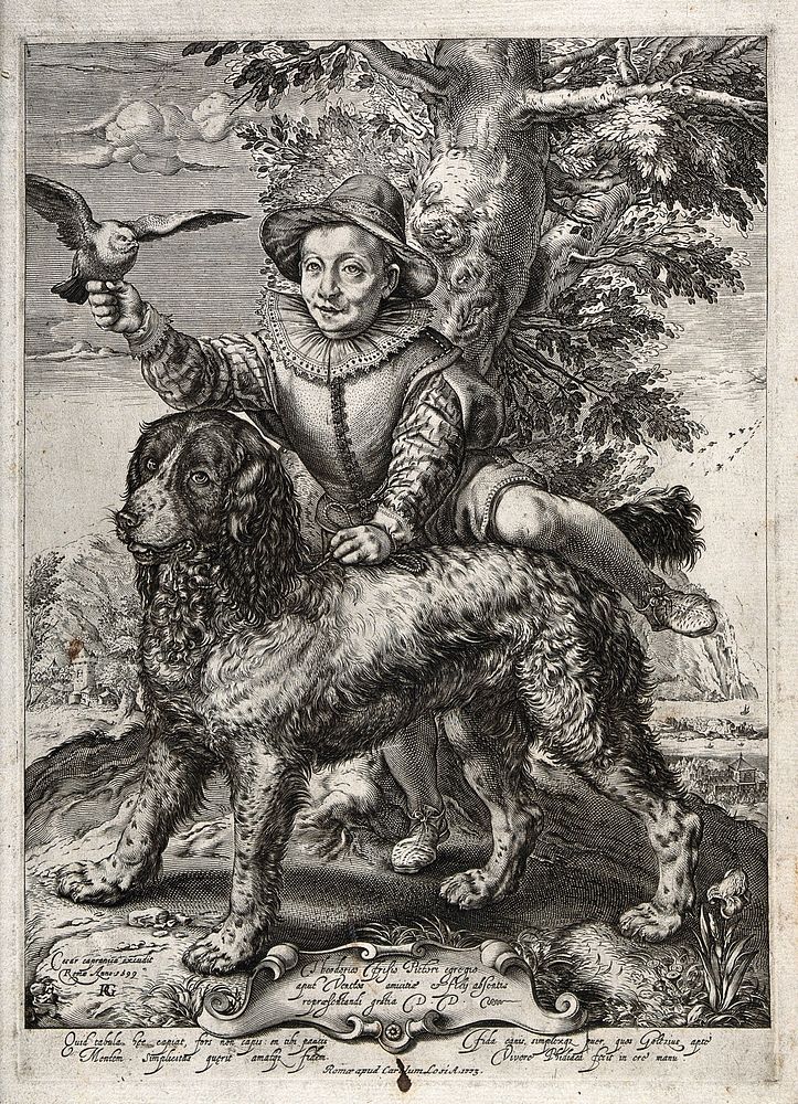 Frederick de Vries, an apprentice of Hendrik Goltzius, is shown holding a dove aloft in one hand while throwing his leg over…