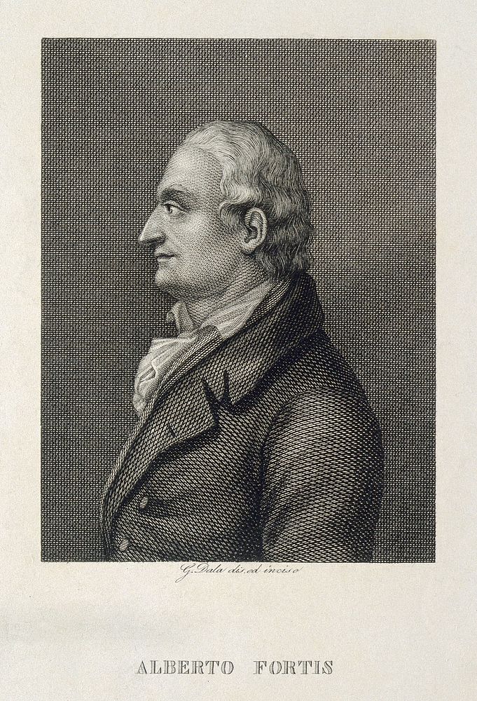 Alberto Fortis. Line engraving by G. Dala after himself.