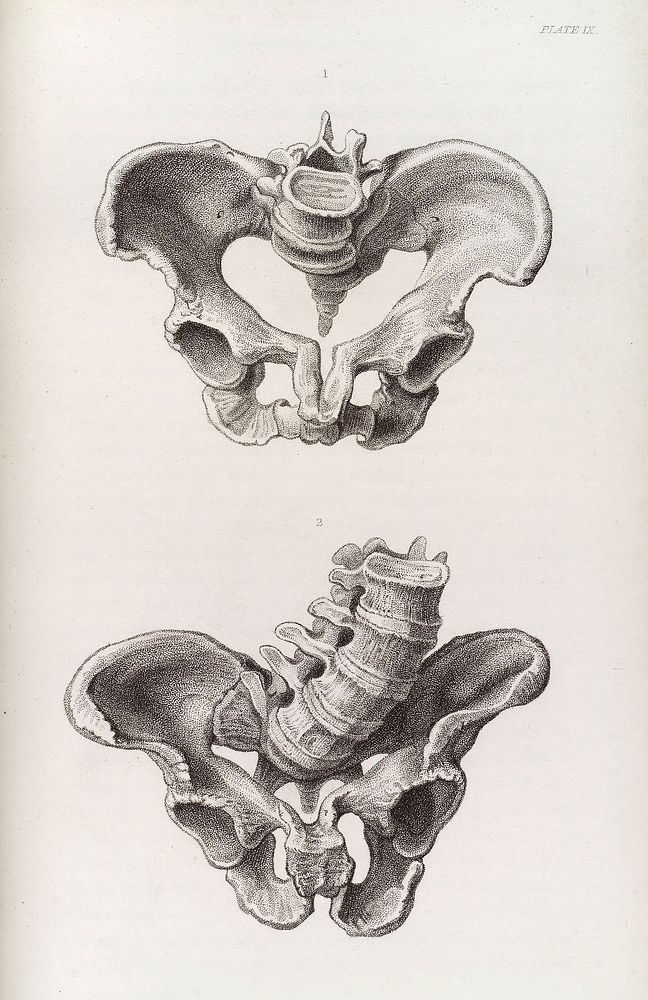 The principles and practice of obstetric medicine and surgery, in reference to the process of parturition / [Francis H.…