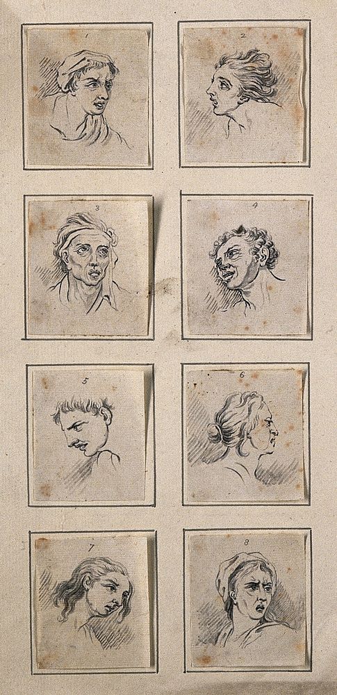 Eight physiognomies. Drawings by D.N. Chodowiecki, ca. 1789, after C. Le Brun.