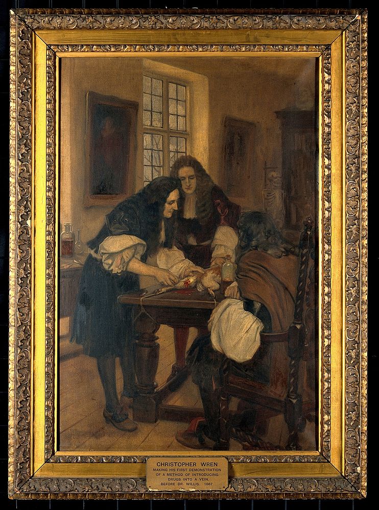 Christopher Wren making his first demonstration of a method of introducing drugs into a vein, before Dr Willis, 1667. Oil…