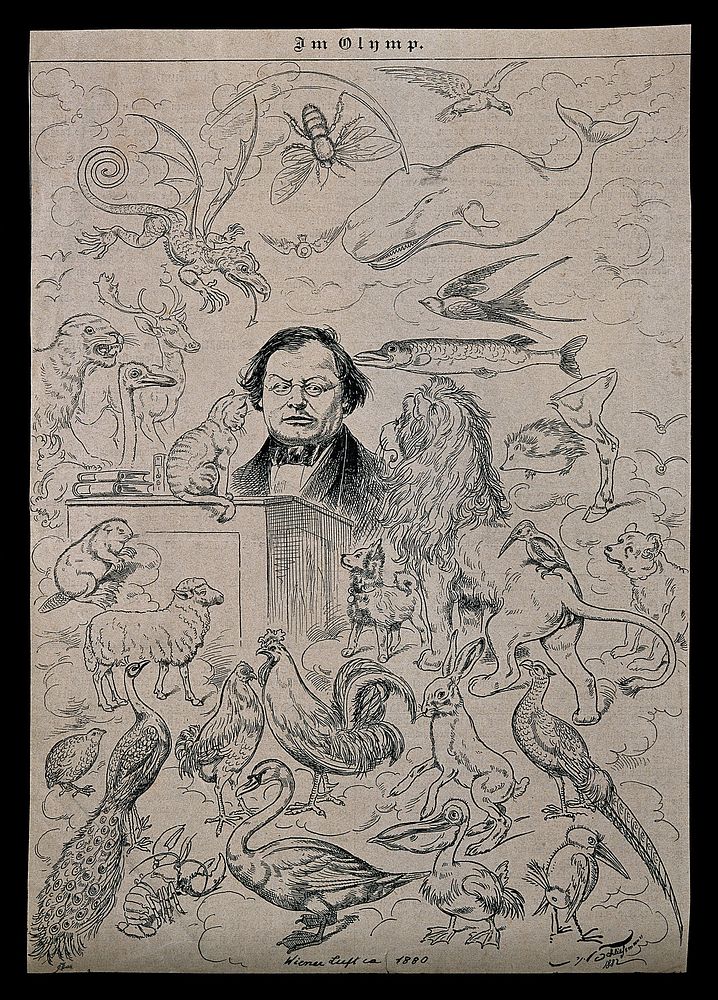 Joseph Skoda, surrounded by animals. Wood engraving by [A. C.] after H. Schliessmann, 1882.
