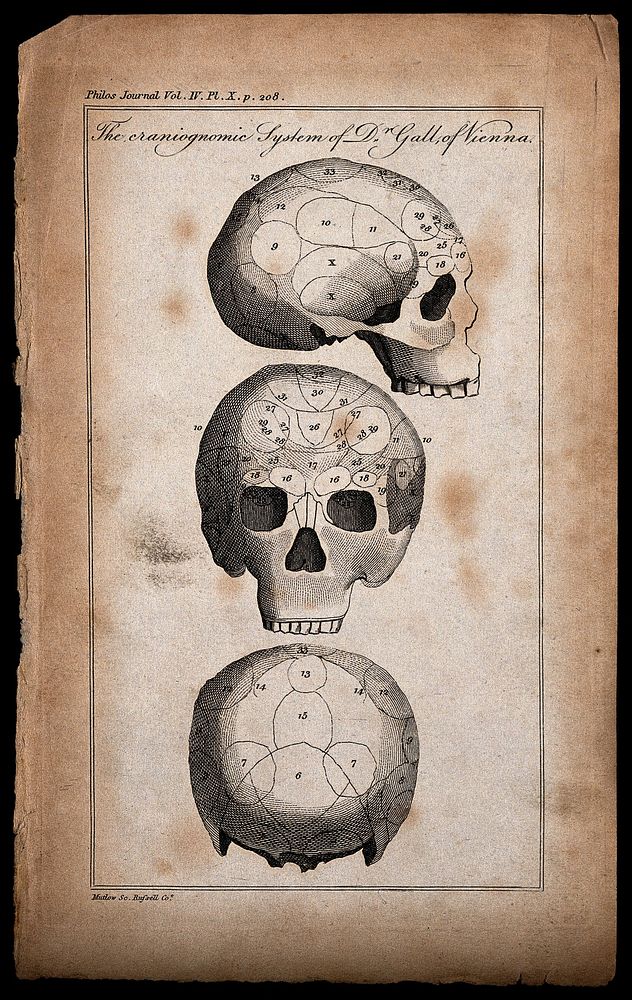 Three perspectives of a skull, sectioned and numbered according to Gall's system of phrenology. Etching by Mutlow.
