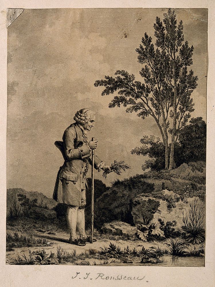 Jean-Jacques Rousseau. Line engraving by L.M. Halbou after N.A. Monsiau.