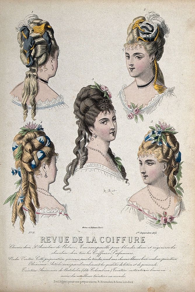The heads and shoulders of five women with their hair combed back and dressed with chignons decorated with scarfs, feathers…