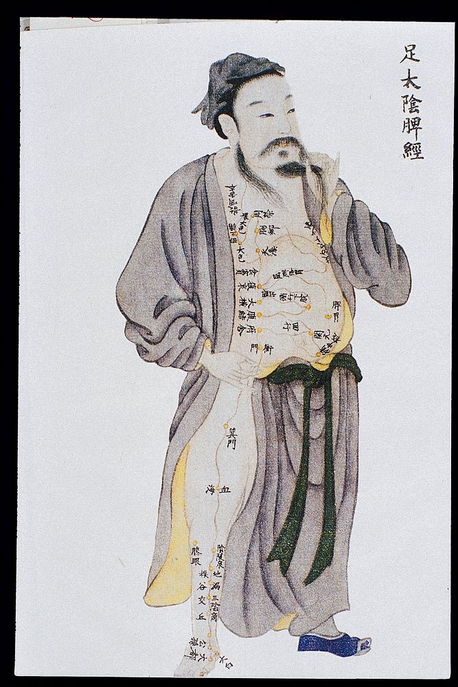 Spleen channel of leg taiyin, C17/18 Chinese book art