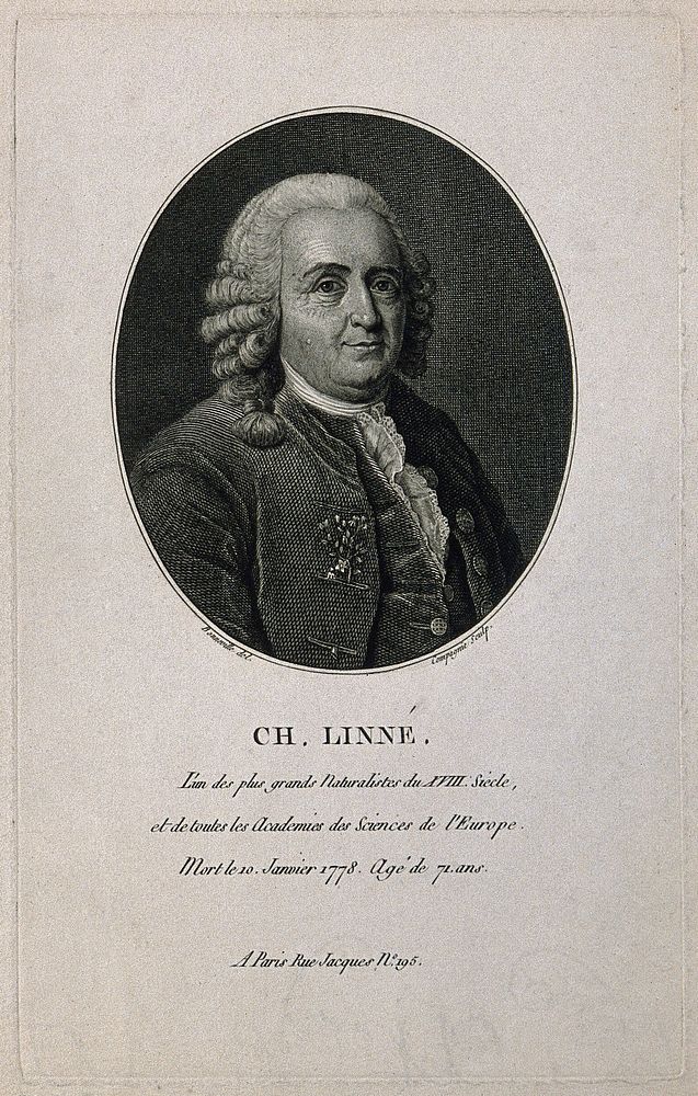 Carolus Linnaeus. Line engraving by J.B. Compagnie after F. Bonneville.